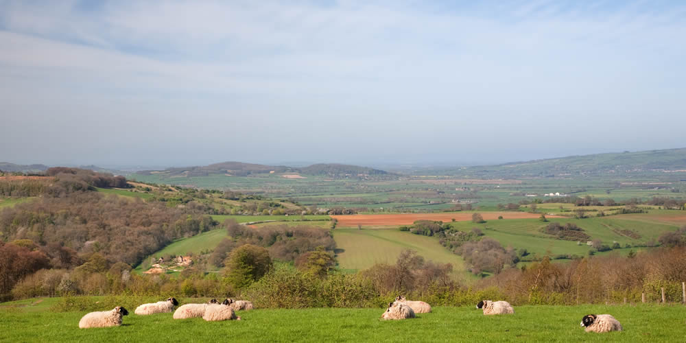 Countryside